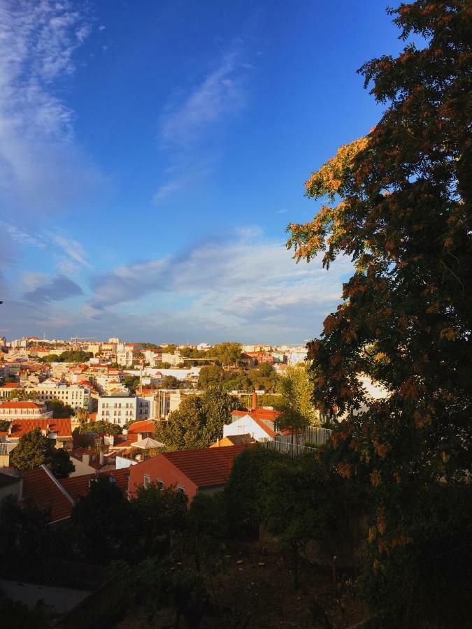 Charm Discovery Principe 7 Lissabon Buitenkant foto